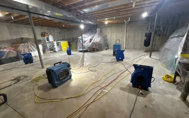 Basement Flood Cleanup in San Mateo, CA