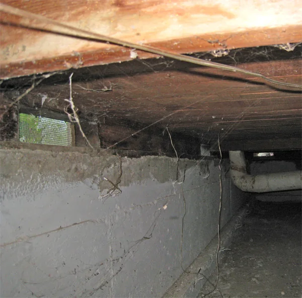 Crawlspace Water Removal in a San Mateo home