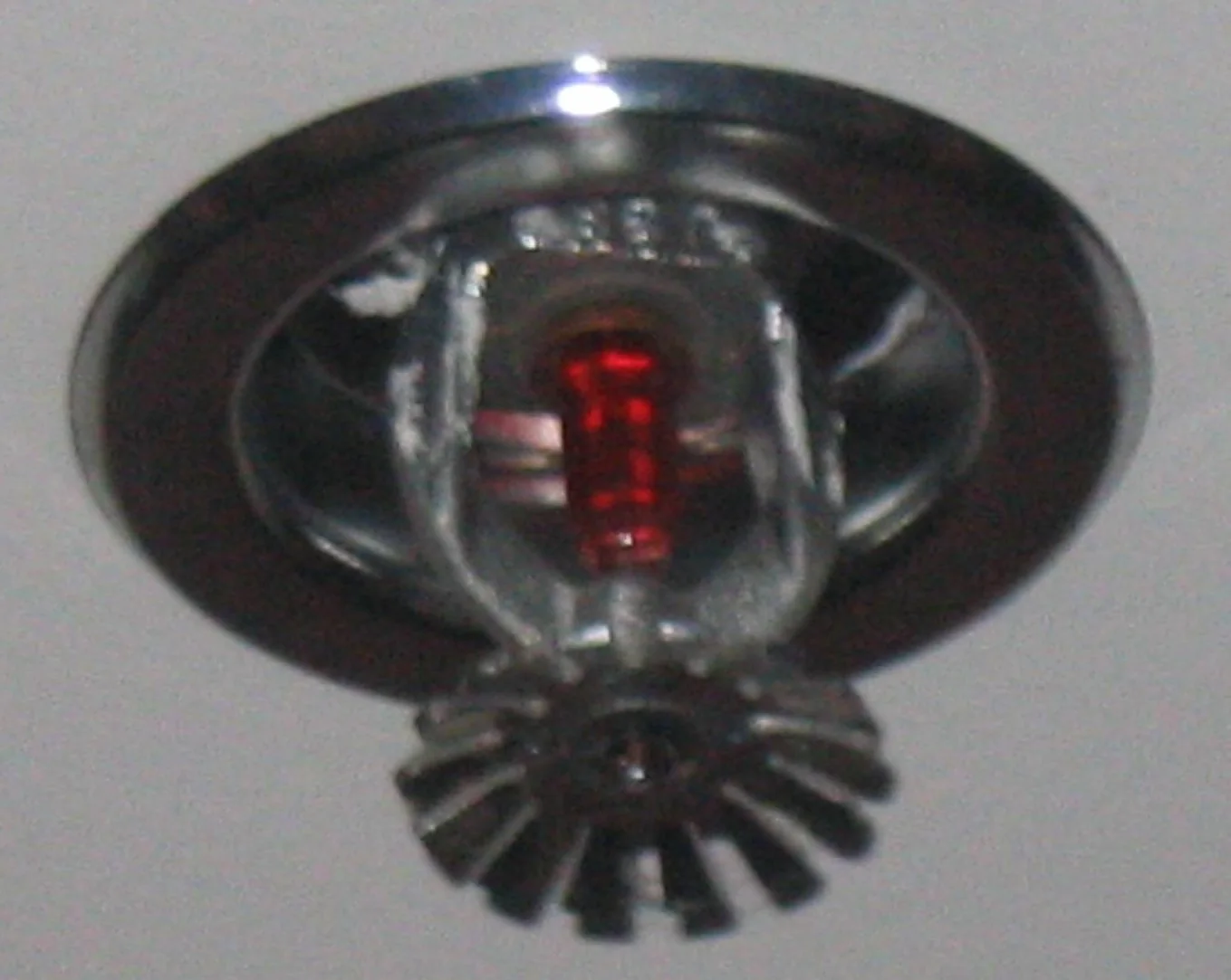 Fire Sprinkler Discharge Cleanup in a San Mateo home