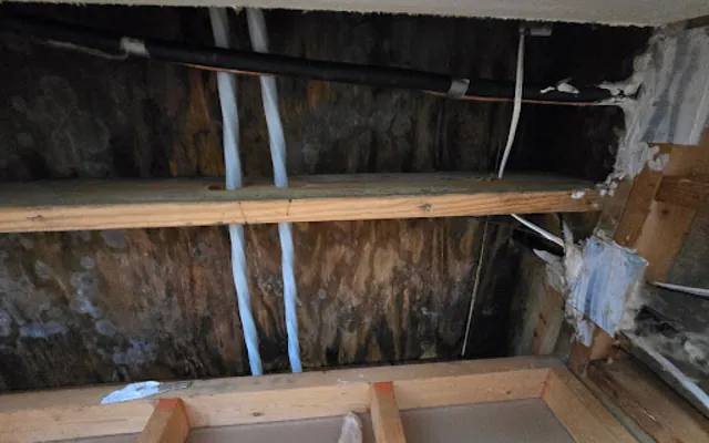 Roof Leak Water Damage in San Mateo, CA