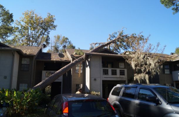 Storm Damage Restoration San Mateo, California